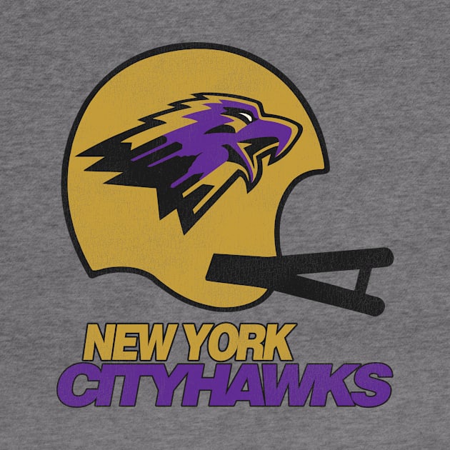 Defunct New York Cityhawks Football Team by Defunctland